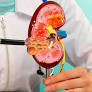 kidney alert| from warning signs to winning strategies from www.worldkidneyday.org