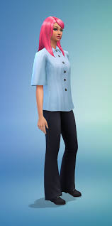 How to activate the cheat console. The Sims 4 Painter Career Guide Sims Online