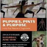 Puppy Yoga with Lucky Pup Rescue & Yogaunme