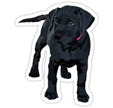 Black Lab Puppy Black Lab Sticker Black Lab Pup Sticker Black Dog Sticker Pink Collar Sticker Dog Sticker Puppy Sticker Cute Sticker Cool Sticker Stic In 2021 Dog Stickers Black Lab