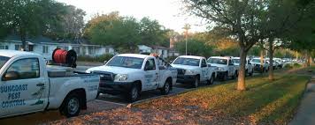 Do it yourself and save money, time and frustration. St Petersburg Florida Pest Control Company Serving Naples Fort Myers And Miami