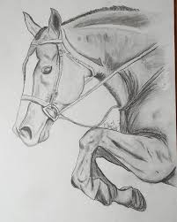 Hunter By C Lemieux Horse Drawings Animal Drawings Sketches Horse Sketch