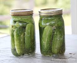 Naturally Fermented Spicy Dill Pickles