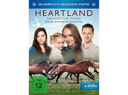 Staffel von heartland auf netflix in den usa sein? Heartland Paradies Fur Pferde Staffel 13 Dvd Auf Dvd Online Kaufen Saturn