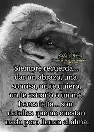 Frasespositivas Frases De Lobos Diario De Un Lobo Frases