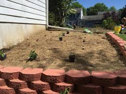 Get tips to help you start a successful las vegas valley garden. Grow A Salsa Garden Can Salsa For Winter Flour On My Face
