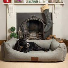 Why not try the new hideaway cushion from pet prestige. Ivy Duke Distinctively Different Dog Beds