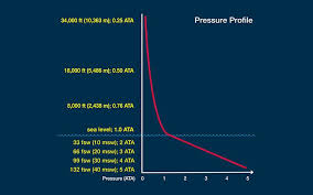 Image result for Decompression Sickness Management