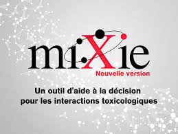 Deseo sabes como decir outil d'aide à la décision en español. Mixie Un Outil D Aide A La Decision Pour Les Interactions Toxicologiques Irsst Institut De Recherche Robert Sauve En Sante Et En Securite Du Travail