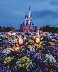 ซื้อทัวร์โตเกียวดิสนีย์แลนด์ ปี 2564 กับ mushroom travel เรามีให้เลือก. Pin On Japan