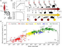 Dynamic similarity and the peculiar allometry of maximum running speed |  Nature Communications