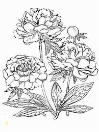 You can now print this beautiful tropical flower nature coloring page or color online for free. Coloring Images Of Flower Novocom Top