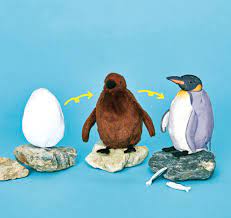 Plumbing kit penguins movie 2021. Japanese Penguin Plushie Takes You From Egg To Chick To Adult Bird In Seconds Soranews24 Japan News
