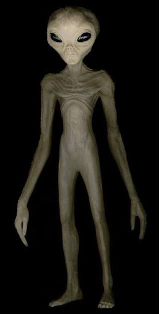 Alien | Alien Wiki | Fandom