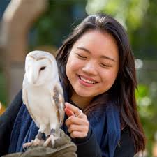 Sustainable fashion meets creativity at the National Wool Museum. Celebrate  design, innovation, and the art of sustainable making at the We the Makers  Sustainable Fashion Prize 2025. Opening Saturday 14 June at