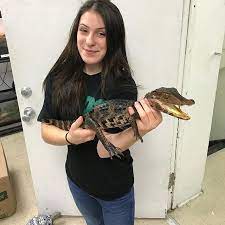 Cuvier's dwarf caiman ( paleosuchus palpebrosus) is a small crocodilian from northern and central south america in thealligator family. Pin On Friends Priatelia