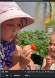 Finding Small Figures at 5 Below Stores