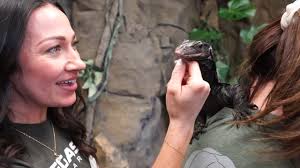 Hey, it's Lori Barczyk, and I'm excited to unveil the brand-new front  counter mural here at LegaSea Aquarium! 🌊 But wait