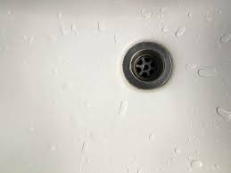 The three rooms of our flat are: What Bugs Can Live In Your Drains Terminix