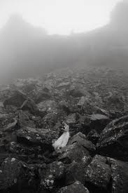 David Conaty Photography