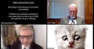 Your daily dose of fun! Lawyer S Zoom Cat Filter Makes For A Hilarious Meme Thrillist