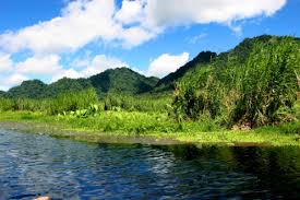 Selain melihat berbagai macam satwa, kamu juga bisa menjelajahi rawa, danau, dan pegunungan sekitar! Wisata Rawa Dano Serang Rawa Danau Panenjoan Serang Banten Youtube Ber Wisata Eksotis Kecagar Alam Rawa Danau Cidanau Iberry For 8320ul
