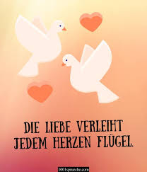 Wir haben passend zur eisernen hochzeit ein paar sprüche, sprichwörter und zitate für dich zusammengestellt, die du in. Fqejjqjr6b024m