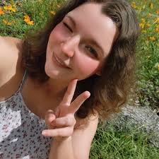 What's eating my palms?I sprayed them with neem oil and I swear it just  made it worse. Any help is appreciated. Arborist wants over $100 just to  come look.