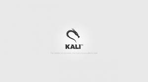 Find the best kali linux wallpaper hd on getwallpapers. Kali Linux Android Wallpapers Wallpaper Cave