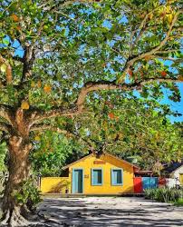 casas da vila on instagram quadrado magico pra serie colorsoftrancoso trancoso regram casas coloridas trancoso bahia casas