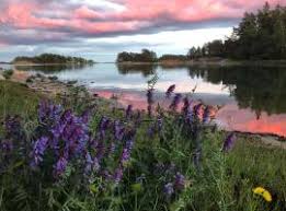 Temas eventos en finlandia, turismo en finlandia. Os 10 Melhores Parques Turisticos Na Finlandia Booking Com