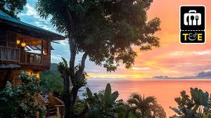Situated in a bush setting with outstanding views of waub's bay and coastal scenery. A Travel Guide To Tobago The Caribbean S Chillest Island Gq