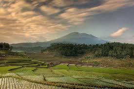 Di lokasi pertama ini kamu dapat menikmati keindahan sunset maupun sunrise yang sangat epic dan tak biasa. Mengenal Desa Wisata Cibuntu Yang Jadi Juara Tingkat Asean Halaman All Kompas Com