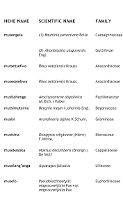 Image result for Gardenia transvenulosa