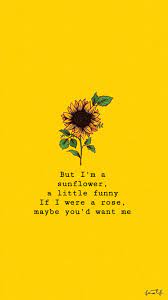Sunflowers Sierraburgessisaloser Wallpaper Sunflower Quotes Wallpaper Quotes Sunflower Wallpaper We have 72+ amazing background pictures carefully.