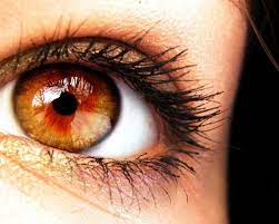 Rarest Eyes Colors In Humans Top 7 Coolupon Rare Eye Colors Rare Eyes Beautiful Eyes Color