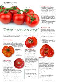 Sweet Living Magazine Issue 2 Green Fruit Living Magazine Tomato