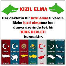 kizil elma turan turk birligi amac tum turkleri tek bayrak altinda toplamak ve dunyaya hukmedecek turk devleti ni kutma zulum asya tarihi askeri tarih