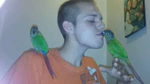 Reading the stories of the family and friends who lost someone they love so  dearly makes my heart break, but it also makes my heart ache, because your  loved ones are free.