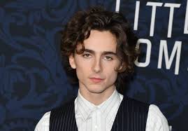 When did the new timothee chalamet movie come out? Why Little Women Fans Think Timothee Chalamet Will Be The Perfect Laurie