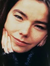 Björk at a private dinner hosted by Another Magazine.