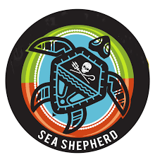 Pin Su Ocean Arts Challenge