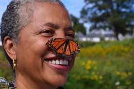 From quirky caterpillar to beautiful butterfly.