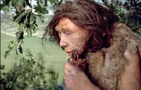 Die entdeckung von holzkohle und verbrannten tierknochen bestätigt tatsächlich die hypothese des vorhandenseins eines richtigen. Covid 19 Patienten Met Milde Of Geen Symptomen Danken Dat Mogelijk Aan Neanderthalers Wetenschap Hln Be