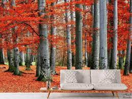 Only the best hd background pictures. Red Forest Wallpaper Autumn Tree Design For Walls About Murals
