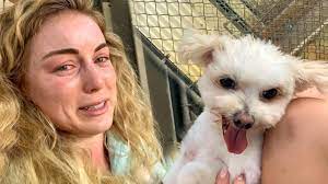Living in hawaii is a dream for anyone that has ever gone to the islands and individuals have actually decided to make that desire a reality.visit our site movingtohawaiiguide.net/ for more information on moving to hawaii. The Reason Our Dog Wasn T Allowed Into Hawaii Moving To Hawaii Vlogs Youtube