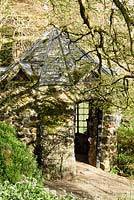 The hexagonal Shell ... stock photo by Carole Drake, Image: 1382978