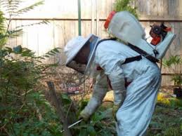 Submit your business listing | help & contact us. Top 10 Best Pest Exterminators In Nashville Tn Angi