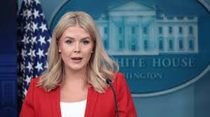 Karoline Leavitt Blasts MSNBC's Nicolle Wallace for 'Disgustingly' Tying  Teen Cancer Survivor to Jan. 6
