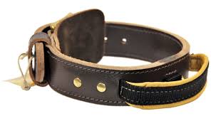 Measure under the chin and up behind the ears as shown below. Leather Agitation Collar With Handle Simple Leather Dog Collar